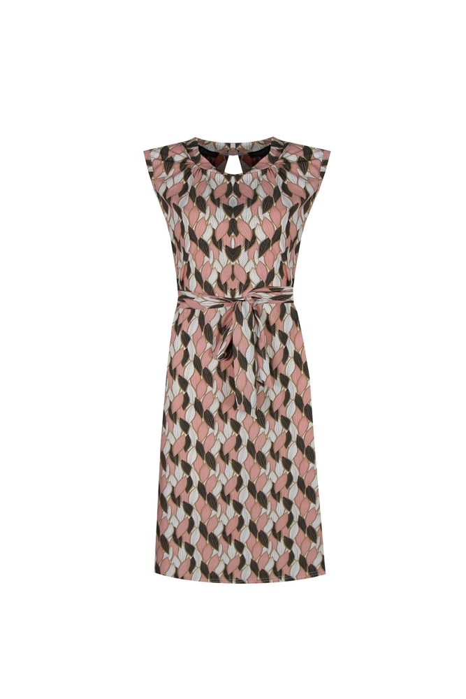 Webp.net-resizeimage-784